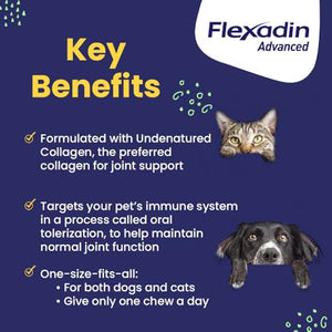 Vetoquinol Flexadin Advanced 60 Chews Dog Joint Support with Undenatured Collagen Vet Approved
