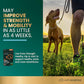 VetriScience GlycoFlex Joint Support Dog Chews, Extra Strength, 120 Ct, Glucosamine & Green Lipped Mussel