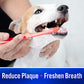 Virbac CET Enzymatic Toothpaste| Eliminates Bad Breath By Removing Plaque And Tartar Buildup | Best Pet Dental Care Toothpaste | Poultry Flavor, 2.5 Oz Tube,