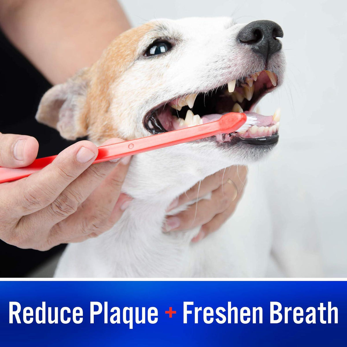 Virbac C.E.T. Enzymatic Toothpaste Eliminates Bad Breath By Removing Plaque And Tartar Buildup Best Pet Dental Care Toothpaste Beef Flavor 2.5 Oz Tube (Color Varies),
