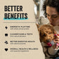 Vital Essentials Minnows Dog Treats 1 oz Freeze Dried Raw Single Ingredient High Protein Training Snack