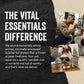 Vital Essentials Minnows Dog Treats 1 oz Freeze Dried Raw Single Ingredient High Protein Training Snack