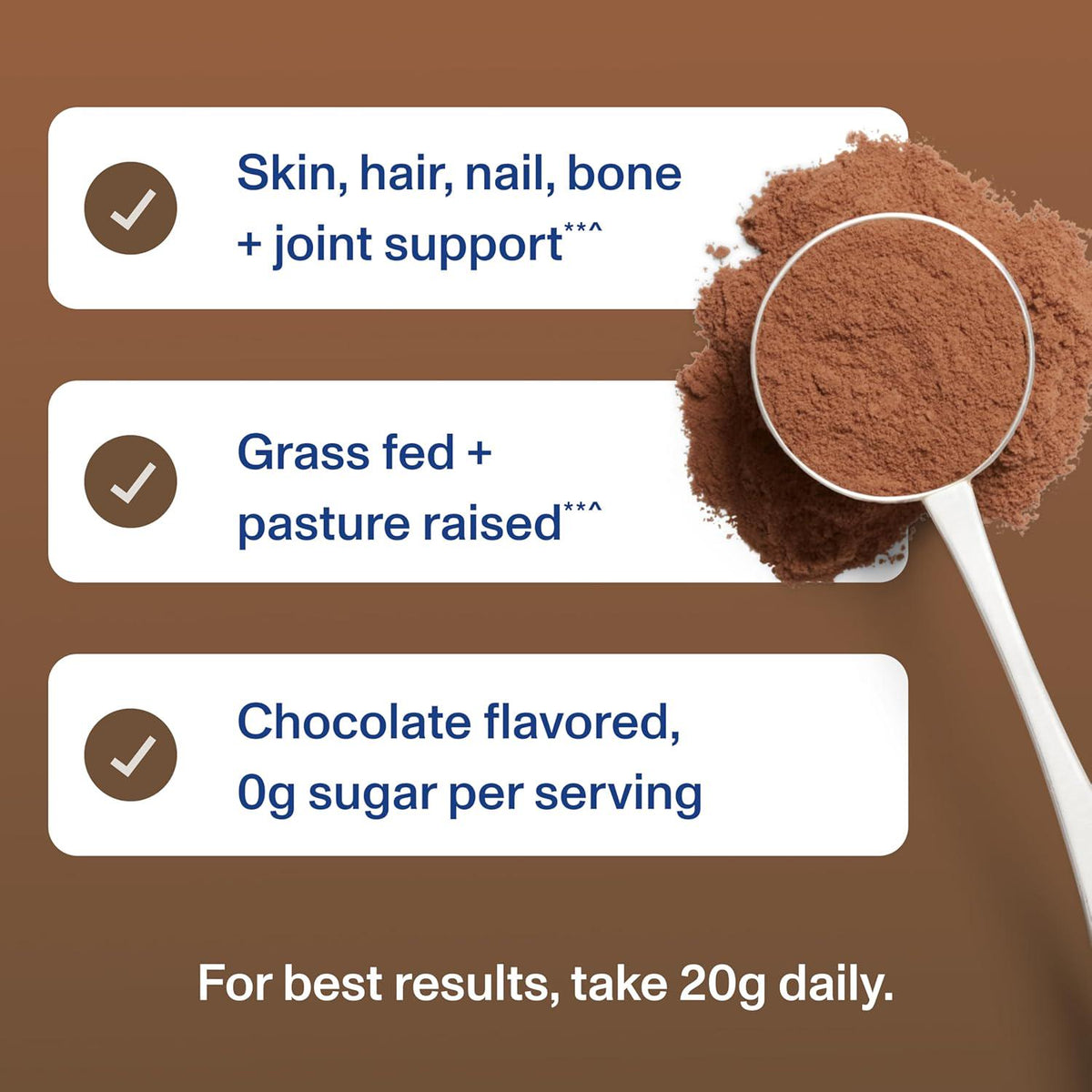 Vital Proteins Grass Fed Collagen Powder Supplement (Type I, III) For Skin Hair Nail Joint - Hydrolyzed Collagen - Dairy And Gluten Free - 27g Per Serving - Chocolate Flavor, 26.8 Oz Canister,