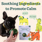 Woof Pupsicle Small Calming Treat Refills 10 Count Long Lasting Magnesium Based Chews for Dogs