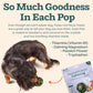 Woof Pupsicle Small Calming Treat Refills 10 Count Long Lasting Magnesium Based Chews for Dogs