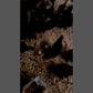 WormsKing Dried Black Soldier Fly Larvae, 5 lb, Calcium-Rich Poultry Treats, Chicken Feed Supplement