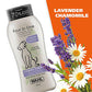 Wahl 4-in-1 Calming Dog Shampoo, 24 oz, Cleans, Conditions, Moisturizes with Lavender Chamomile