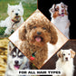 Wahl Oatmeal Dog Shampoo, Itch Relief, Coconut Lime Scent, 24 oz, Pet Friendly Formula