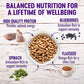 Wellness Complete Health Chicken and Oatmeal Dry Dog Food with Wholesome Grains 30 lb Bag