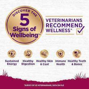 Wellness Small Breed Dry Dog Food, Turkey & Oatmeal Recipe, Natural Formula, 4 lb Bag
