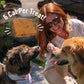Wellness Puppy Treats 3 oz Soft Lamb and Salmon Recipe Grain Free Natural Training Snacks for Puppies