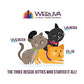 Weruva B.F.F. OMG Rainbow Road Gravy Wet Cat Food, Variety Pack, 12 Ct, 2.8 oz Cans