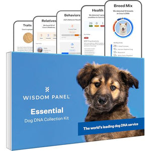 Wisdom Panel Essential Dog DNA Test Kit, 365 Breeds, 30 Health Conditions, 50 Traits, Relatives Reported