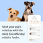 Wisdom Panel Essential Dog DNA Test Kit, 365 Breeds, 30 Health Conditions, 50 Traits, Relatives Reported