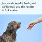 Wisdom Panel Essential Dog DNA Test Kit, 365 Breeds, 30 Health Conditions, 50 Traits, Relatives Reported