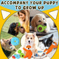 Zeaxuie Puppy Chew Toys 9 Pack for Teething Small Dogs Squeaky Balls and Rope Toys Set