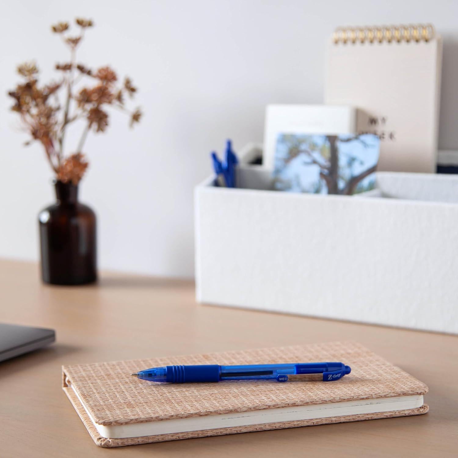 Zebra Pen Z-Grip Retractable Ballpoint Pen, Medium Point, Blue Ink, 24-Pack, Model Number: 12225,