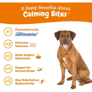 Zesty Paws Calming Chews for Dogs 90 Count Peanut Butter Flavor Stress and Separation Support