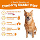 Zesty Paws cranberry chews for dogs 90 count bacon flavor supports bladder urinary tract immune and gut health