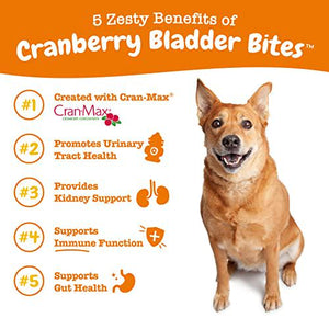 Zesty Paws cranberry chews for dogs 90 count bacon flavor supports bladder urinary tract immune and gut health