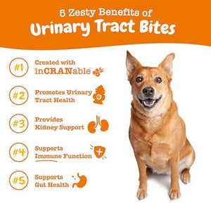 Zesty Paws Cranberry Bladder Support Chews for Dogs, Urinary Health, Immune & Gut Aid, 90 Ct, Chicken Flavor