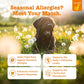 Zesty Paws Dog Allergy Chews Lamb Flavor Relief for Itchy Skin and Seasonal Allergies 90 Ct