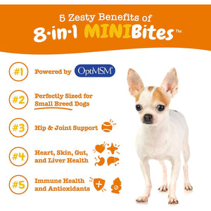 Zesty Paws Dog Multivitamin Chicken Mini Bites 90 Chews for Joints Skin Coat Senior and Puppy
