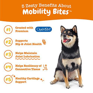 Zesty Paws Hip and Joint Chews for Dogs Duck Flavor 90 Count with Glucosamine Chondroitin MSM for Mobility Support