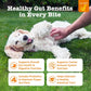 Zesty Paws Dog Probiotic Chews for Digestive Health and Immunity with DE111 Enzyme Support Pumpkin Flavor