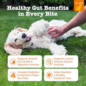 Zesty Paws Probiotics for Dogs Digestive Soft Chews Chicken Flavor 90 Count