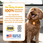 Zesty Paws Dog Probiotic Chews for Digestive Health and Immunity with DE111 Enzyme Support Pumpkin Flavor