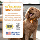 Zesty Paws Probiotics for Dogs, 90 Ct, Bison Flavor, Soft Chews with Digestive Enzymes & Gut Health Support
