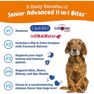 Zesty Paws Senior Dog Multivitamin Treats with Glucosamine and Probiotics Chicken Flavor 90 Count