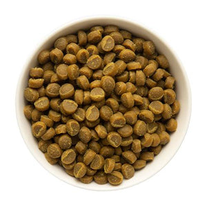 Zuke’s Mini Naturals Dog Training Treats Real Chicken Recipe 16 oz Resealable Pouch