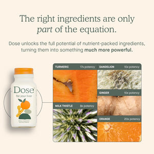Dose for Your Liver Cleanse Detox Organic Milk Thistle Supplement with Turmeric, Dandelion, Ginger Promotes Liver Function 16oz, 6-Pack