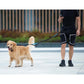Iyoshop Hands Free Dog Leash with Bungee and Zipper Pouch Dual Padded Handles for Running Jogging Black