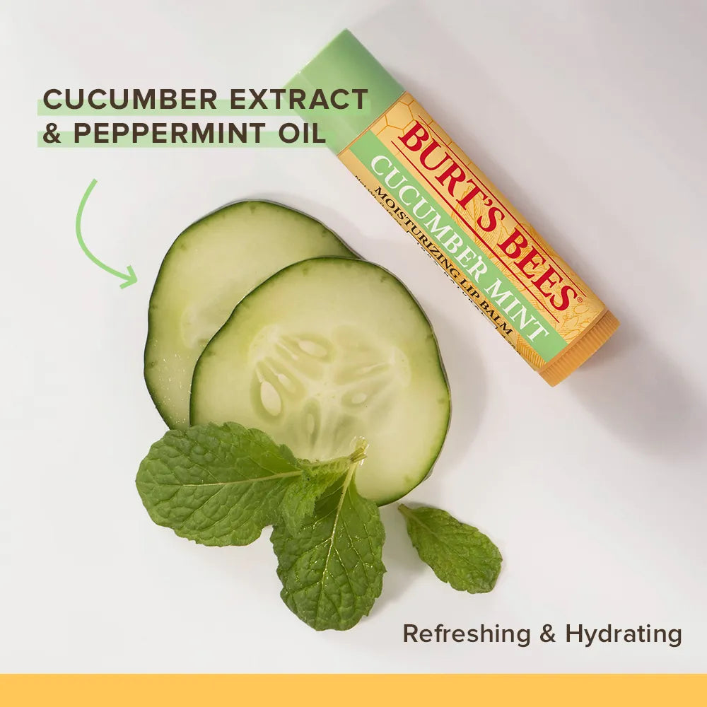 Burt's Bees Cucumber Mint Moisturizing Lip Balm 4.25g,792850900936