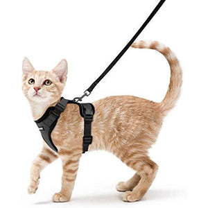 Rabbitgoo Cat Harness & Leash Set, Black, XS, Escape-Proof, Soft Adjustable Vest with Reflective Strips