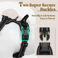 Rabbitgoo Dog Harness No Pull Adjustable Pet Vest with Handle 2 Leash Clips Reflective Black Large
