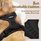 Rabbitgoo No-Pull Dog Harness, Medium, Black, Adjustable Padded Pet Vest with Handle, Reflective Straps