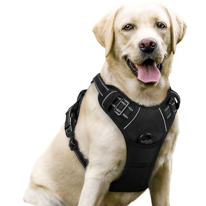 Rabbitgoo Dog Harness No Pull Adjustable Pet Vest with Handle 2 Leash Clips Reflective Black Large