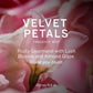 Victoria's Secret Velvet Petals Fragrance Mist For Her 250ml