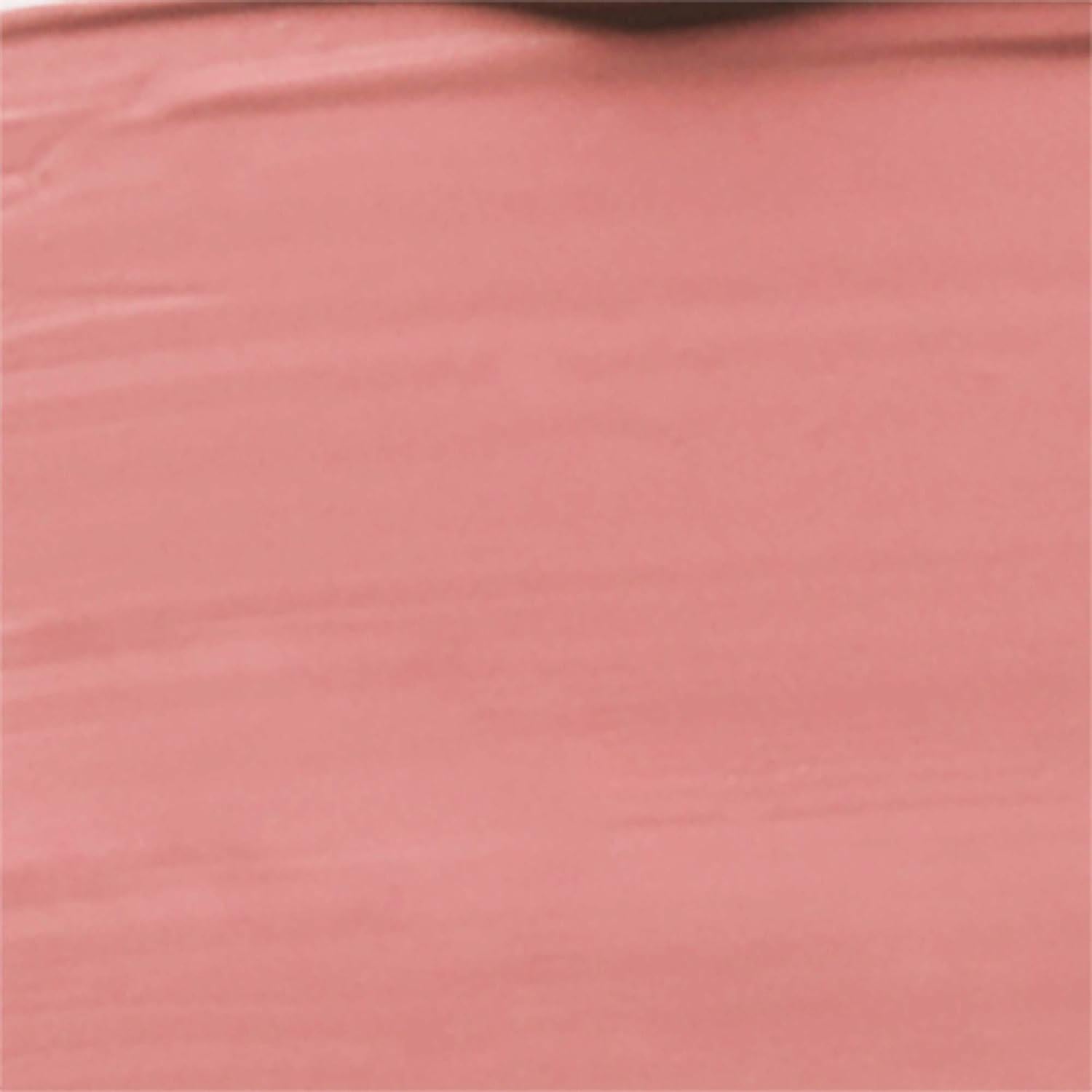 Wet N Wild Megalast Catsuit Matte Liquid Lipstick, Pink Nudist Peach | Lip Color Makeup | Moisturizing | Creamy | Smudge Proof,